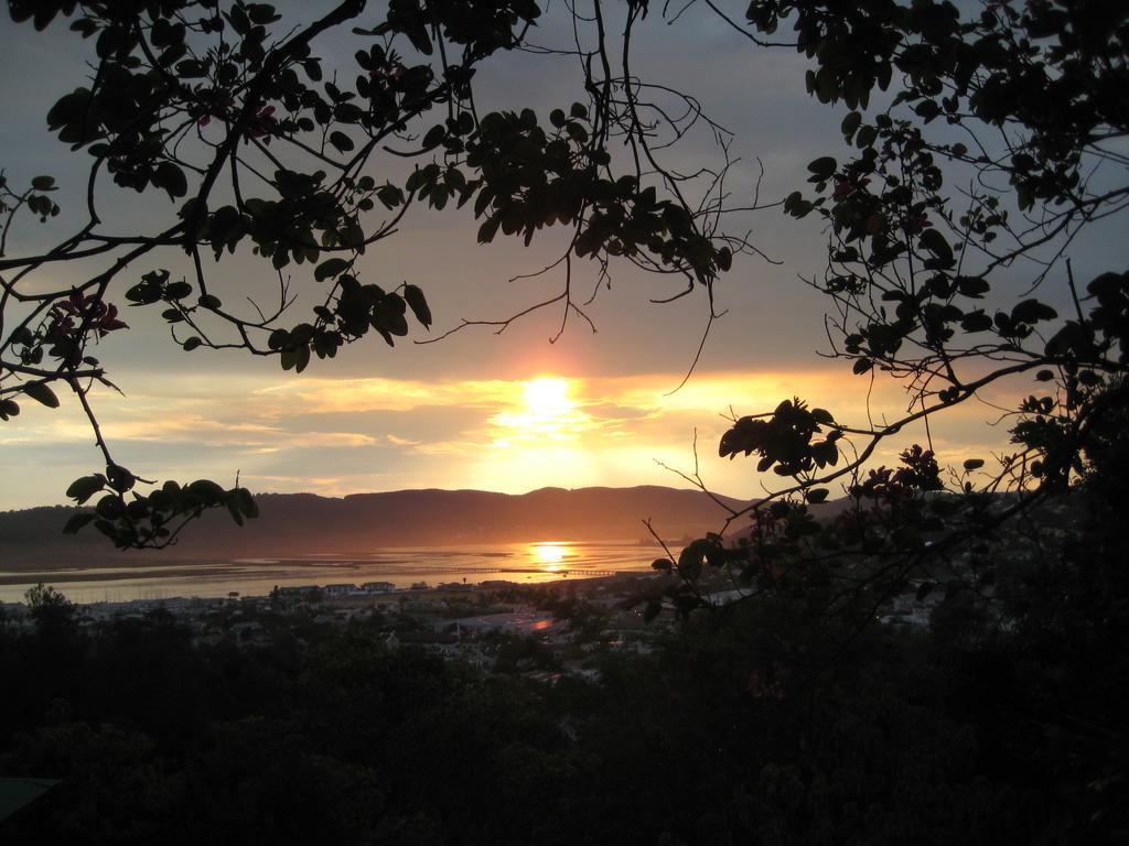 Mount Joy Cottages Knysna Exteriér fotografie